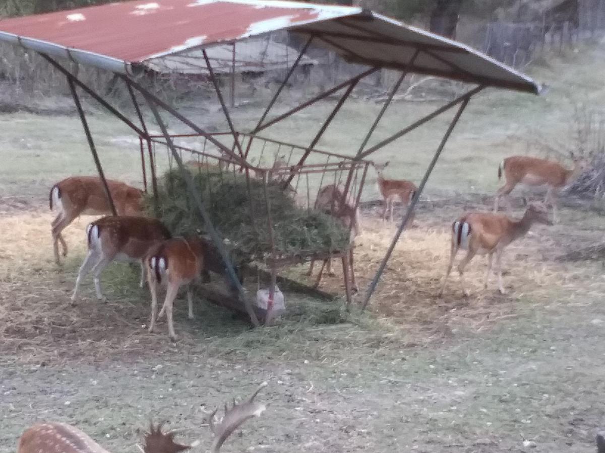 Millesimo B&B La Casa Del Daino מראה חיצוני תמונה