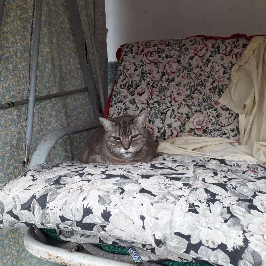 Millesimo B&B La Casa Del Daino מראה חיצוני תמונה
